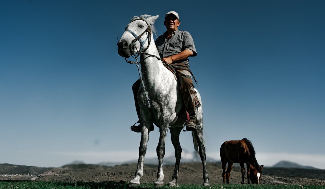 argentine gaucho on horse