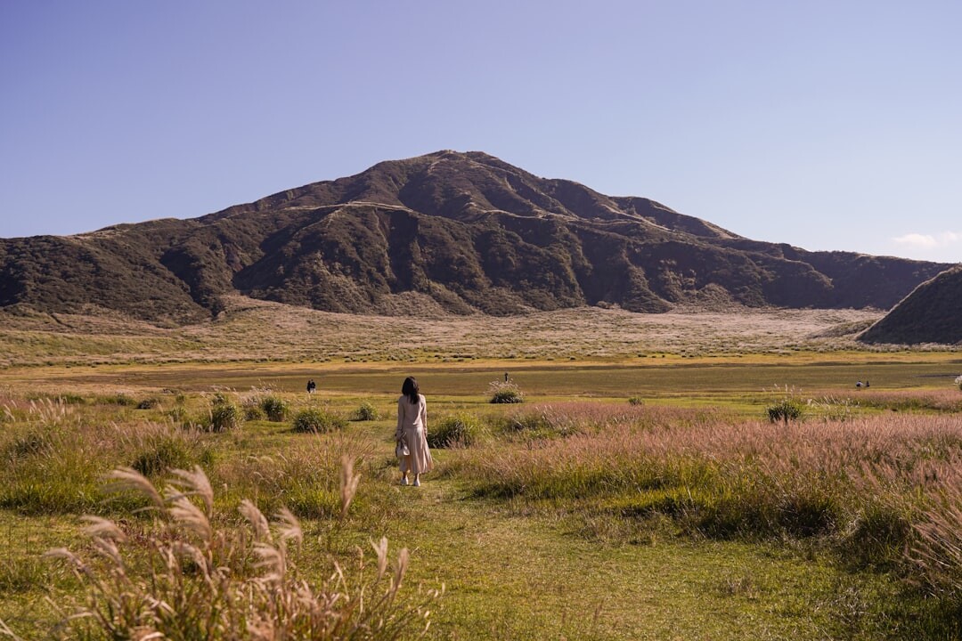 gaucho on horseback in pampas