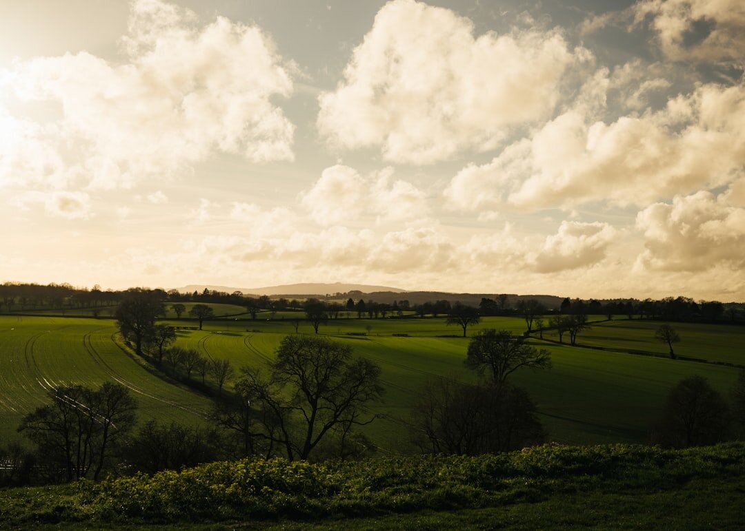 Rolling green countryside fields under cloudy sky